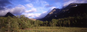 Read more about the article Siperia – luontoelokuvasarja