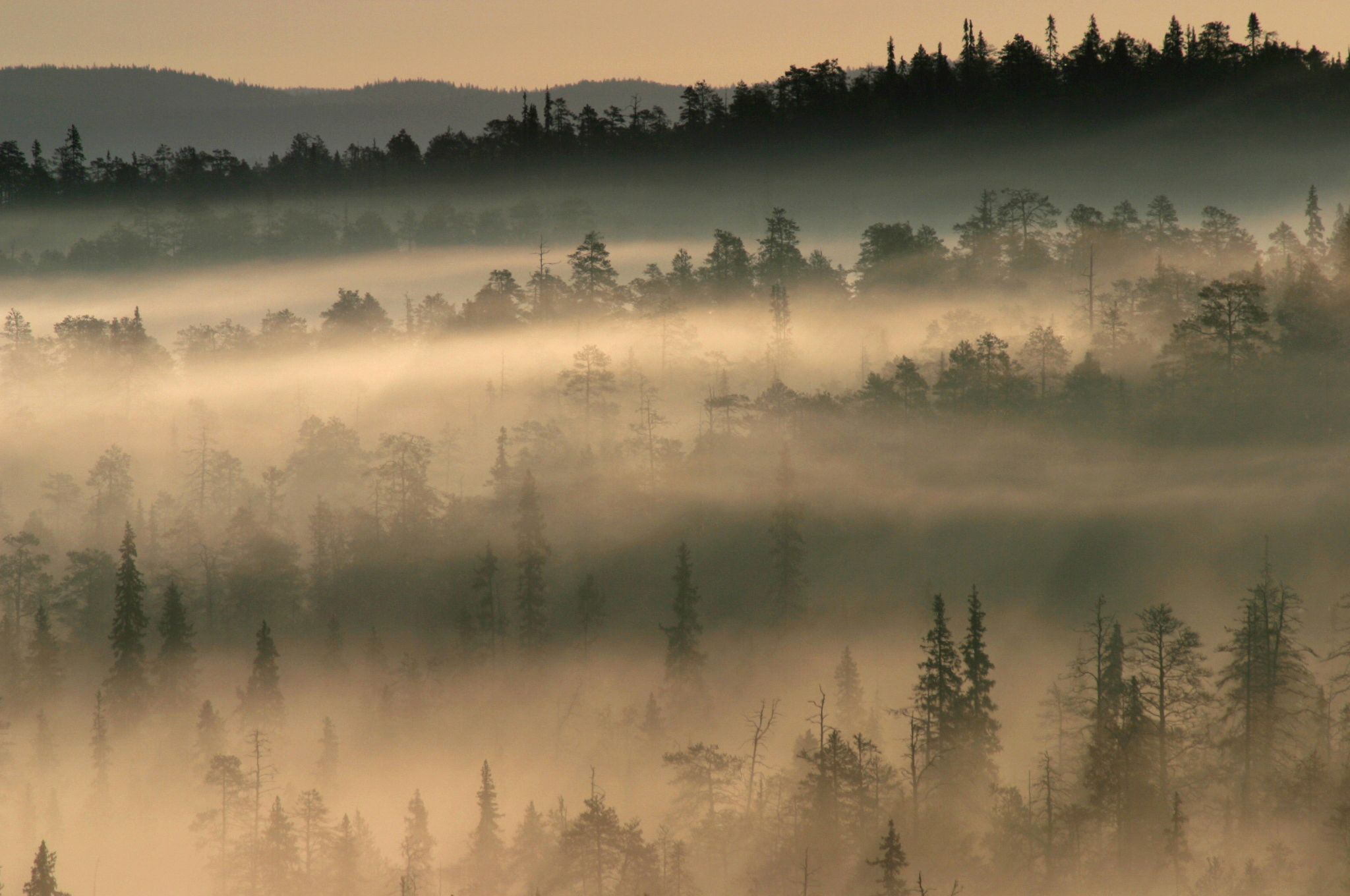 You are currently viewing Pohjoinen hiljaisuus – dokumenttielokuva